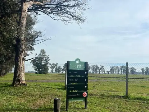 Terreno en Venta en Los Tres Pinos, USD 21.500
