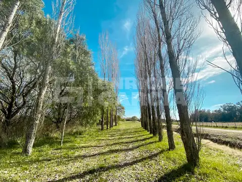 Ruta Provincial 41 Km 22 Estancia Benquerencia