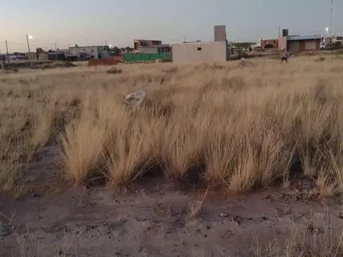 TERRENO EN VENTA - Choele-Choel