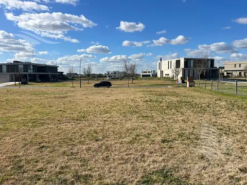 Terreno en Venta 31  mts Fondo
