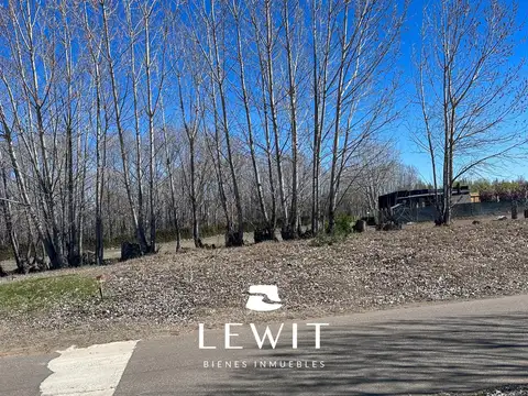 Terreno en Venta en Plottier, USD 54.500