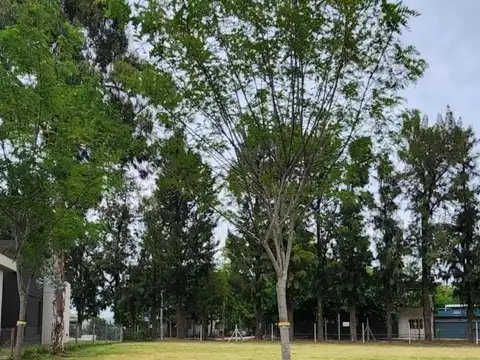 Terreno en Venta en Santo Tomas, USD 29.000