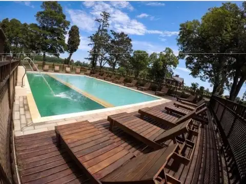 Campo - General Madariaga