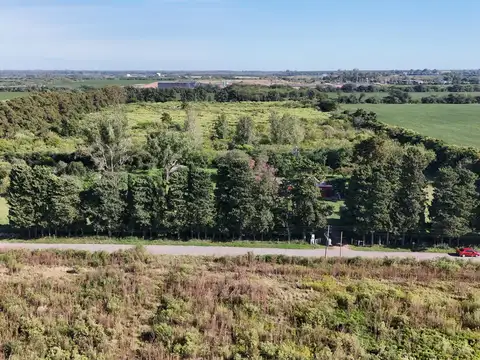 Campo de 9 hectáreas con excelente proyección industrial. Camino Costa Brava, Zárate