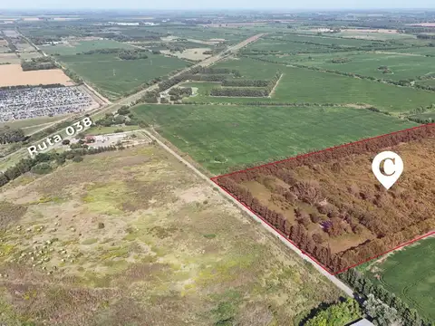 Campo de 9 hectáreas con excelente proyección industrial. Camino Costa Brava, Zárate