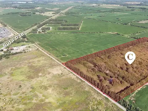 Campo de 9 hectáreas con excelente proyección industrial. Camino Costa Brava, Zárate