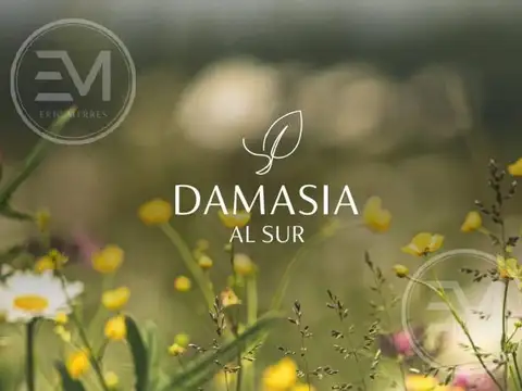 Damasia al Sur, C. Luis Farina,