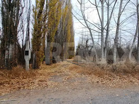 Campo en Venta en San Patricio del Chañar, Añelo