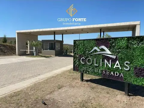 Colinas De La Deseada 100
