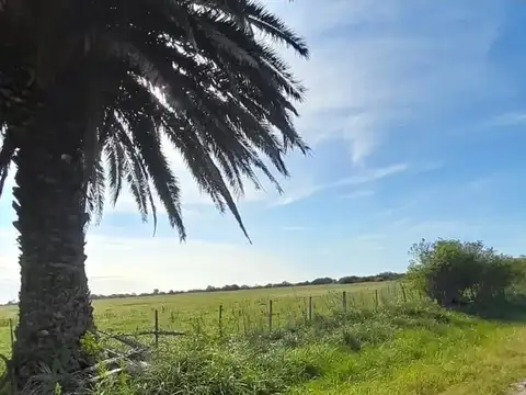 Terrenos y Lotes en Venta en Magdalena [Cod: 161-90007527]