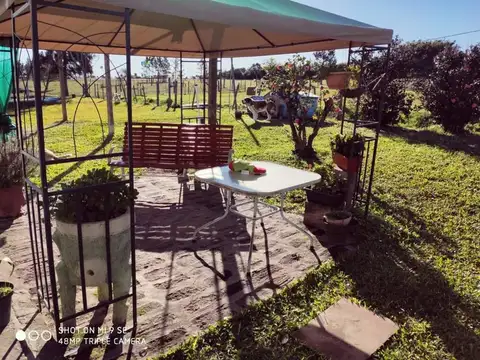 Av. José Batlle y Ordoñez