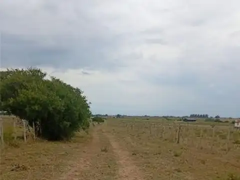 Corte de la Leña