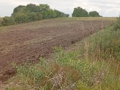 Chacra en Venta, San Carlos, Uruguay