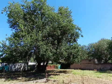 Se vende lote 715 m² en La Amalia, Villa Allende!