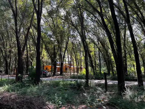 VENTA LOTES ANISACATE 1250 m2 B° PARQUE SAN MARTIN