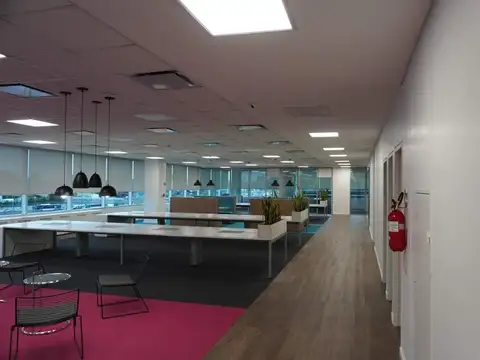 Oficina en Alquiler al Este