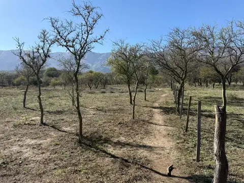 Terreno en Las Chacras