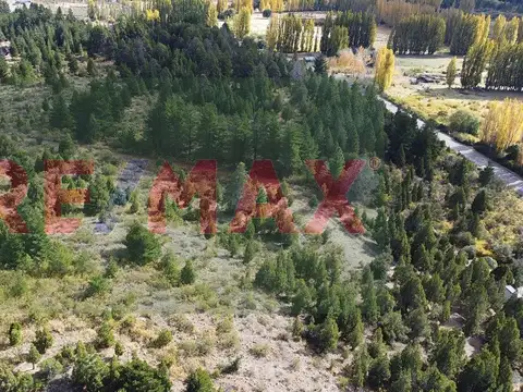 11 Hectáreas sobre Av. Los Cauquenes, Epuyén
