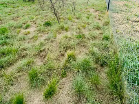 Terreno en Venta en Toay, USD 19.000
