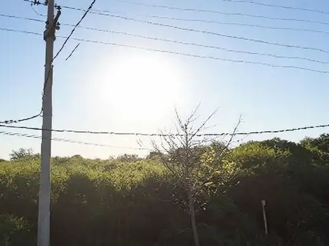 madre terresa de calcuta