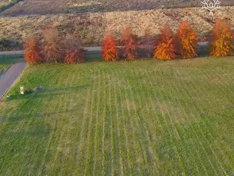 Los Pinares Country Club