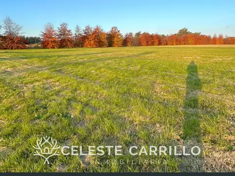 Venta - Lote -  Pinares Country Club - Exaltación de la Cruz - Acepta Financiación.