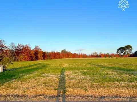 Los Pinares Country Club