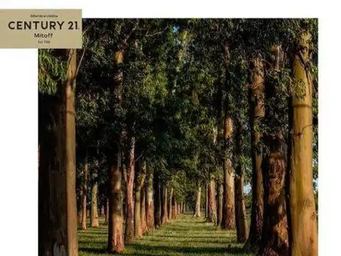 Terreno en Venta en Coronel Brandsen, USD 28.000