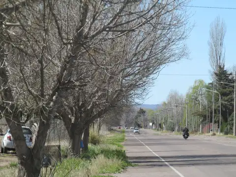 San Martín