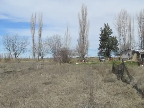 Terreno 2,5 has en Venta La Consulta Valle de Uco