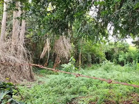 Avenida Cura Allievi y Villegas