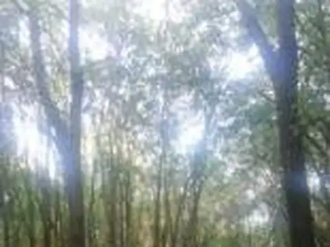 Campo en venta - 49.800Mts2 - Villa Los Altos