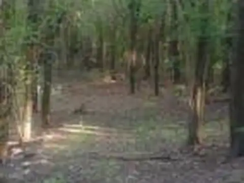 Camino Al Cuadrado 7 - Villa Los Altos