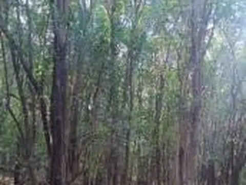 Campo en venta - 49.800Mts2 - Villa Los Altos