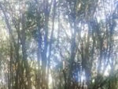 Campo en venta - 49.800Mts2 - Villa Los Altos