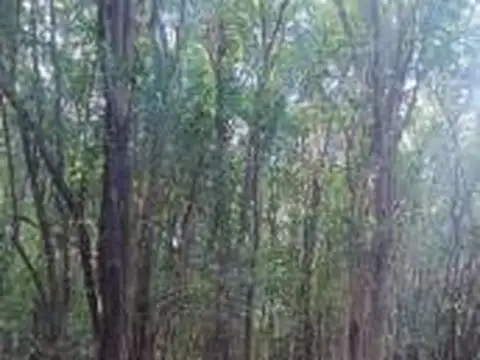 Campo en venta - 49.800Mts2 - Villa Los Altos