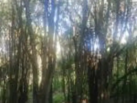 Campo en venta - 49.800Mts2 - Villa Los Altos