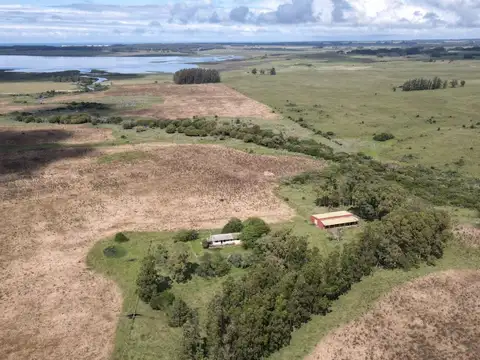 Campo - Venta - Uruguay, JOSE IGNACIO - RUTA 9 Km.156 camino lindero a Madellin