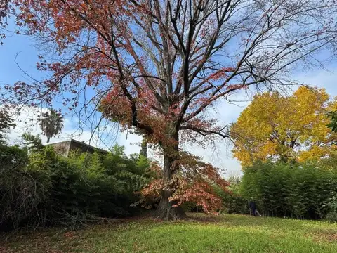 Venta loet en Bella Vista