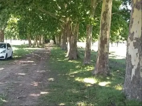 Av. Ricardo Balbin 3300