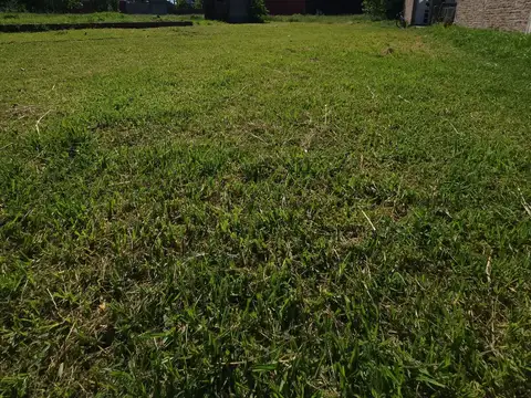 Acebal, Aristóbulo Del Valle 759