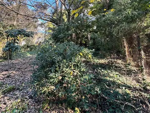 Terreno en VENTA - Barrancas de San Isidro