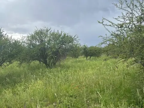 Terreno en Venta de 896,0 m2