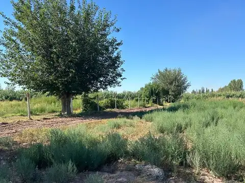 Finca En Venta en Colonia Segovia. 7,5 Has