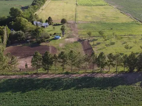 La Celina
