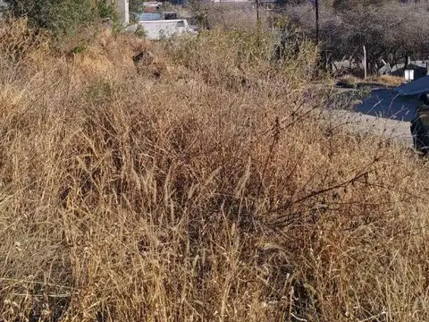 Terreno en Venta de 350,0 m2