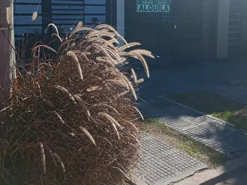 Depto Tipo Casa en Alquiler de 2 ambientes