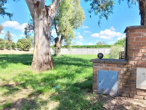 Terreno - La Cesarina