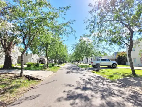 Terreno - La Cesarina