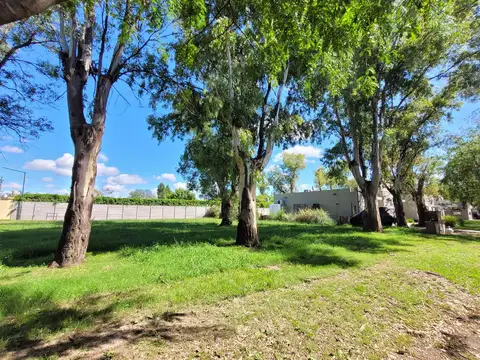 Terreno en Venta 36  mts Fondo